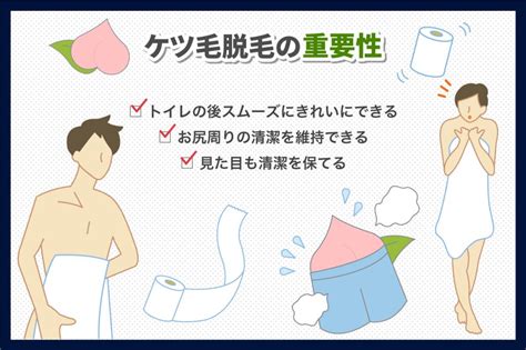 け つげ 処理|けつ毛はなぜ生えてくるのか？けつ毛の必要性と処理。